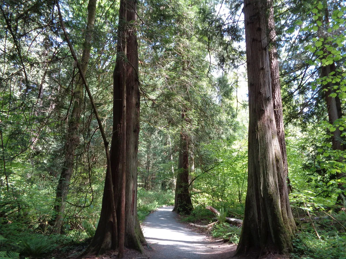 Family Walking Route Brno: A 2-Day Kid-Friendly Guide