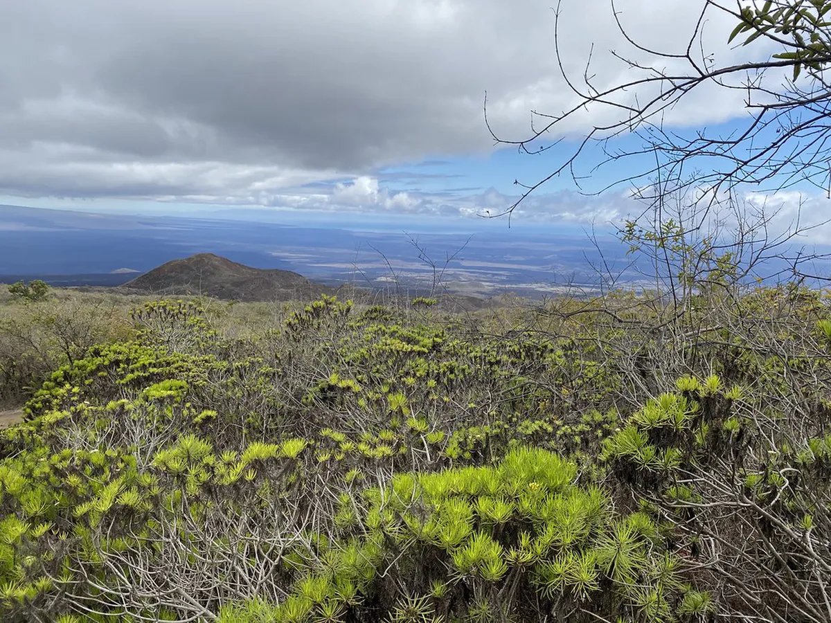 How to Walk Up to Spilberk Castle From Center