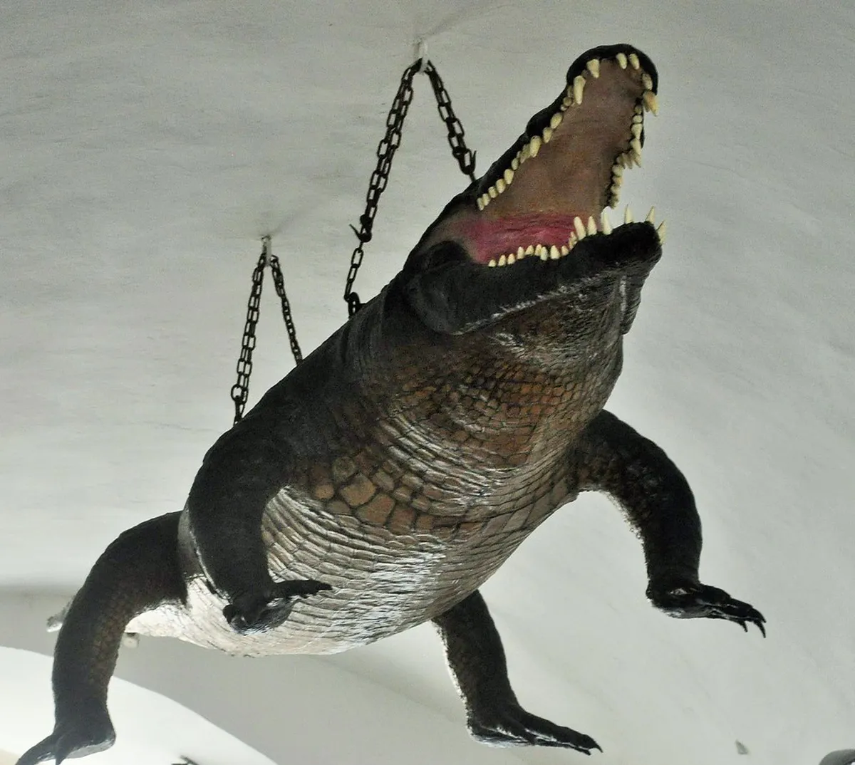 Discover the Old Town Hall Brno Dragon Legend