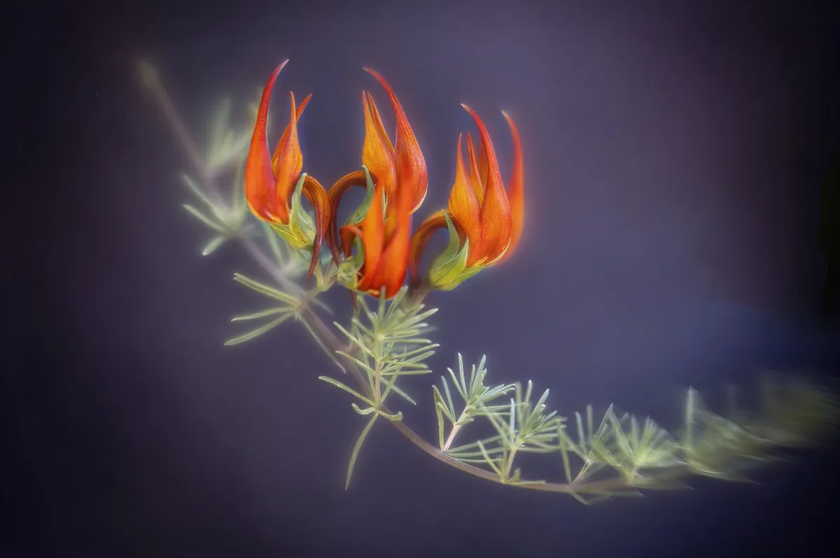 When is the Farmers Market Open in Brno? (2026 Guide)