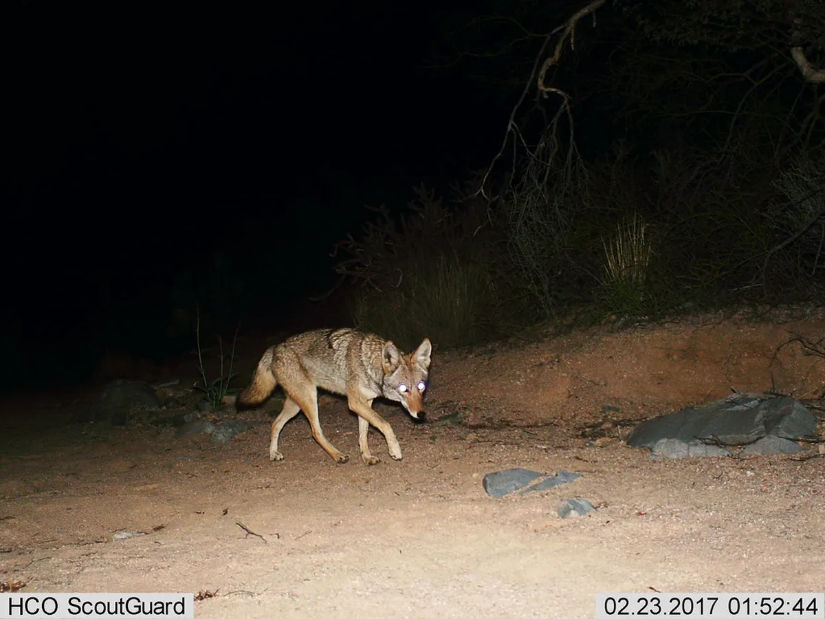 12 Stops on the Latrán District Historical Route