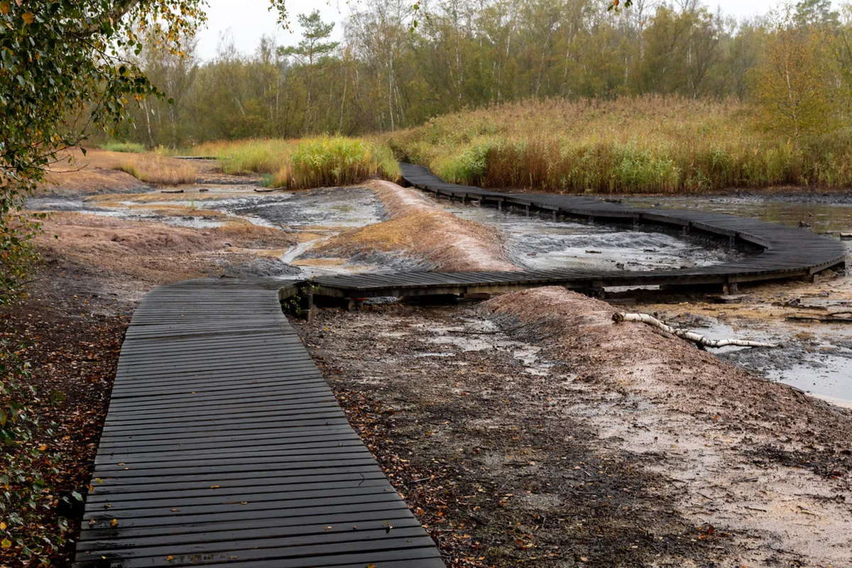 Are Karlovy Vary Forest Paths Cleared in Snow?