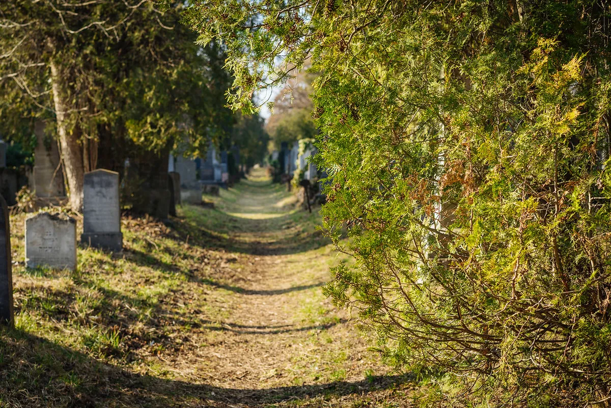 Beethoven Path Karlovy Vary Guide: 2-Day Itinerary