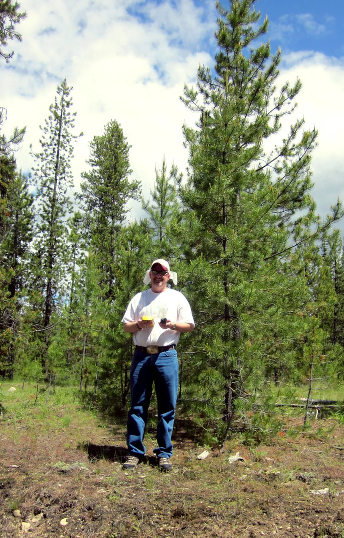 Hiking Trail Map to Diana Observation Tower Guide