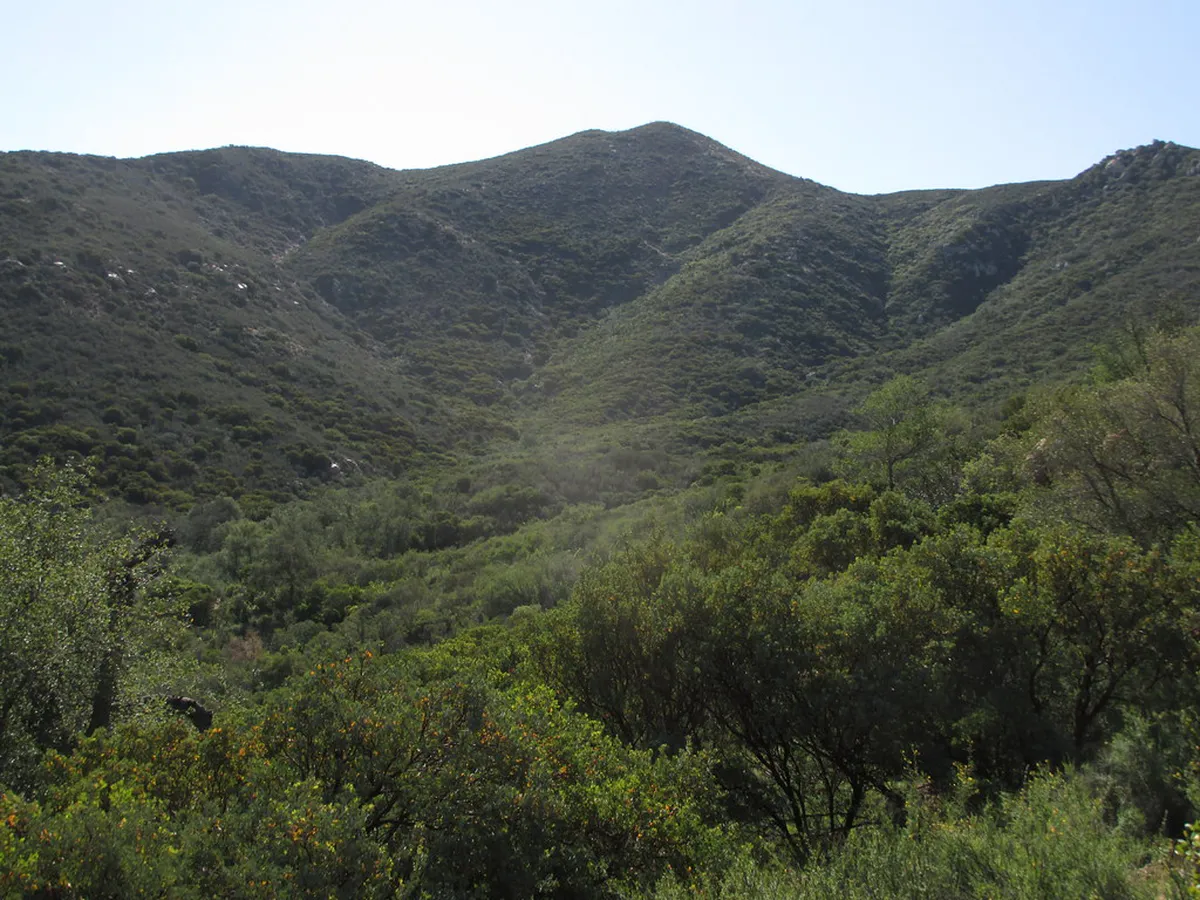 Three Crosses Hill Walking Trail: A Complete Guide