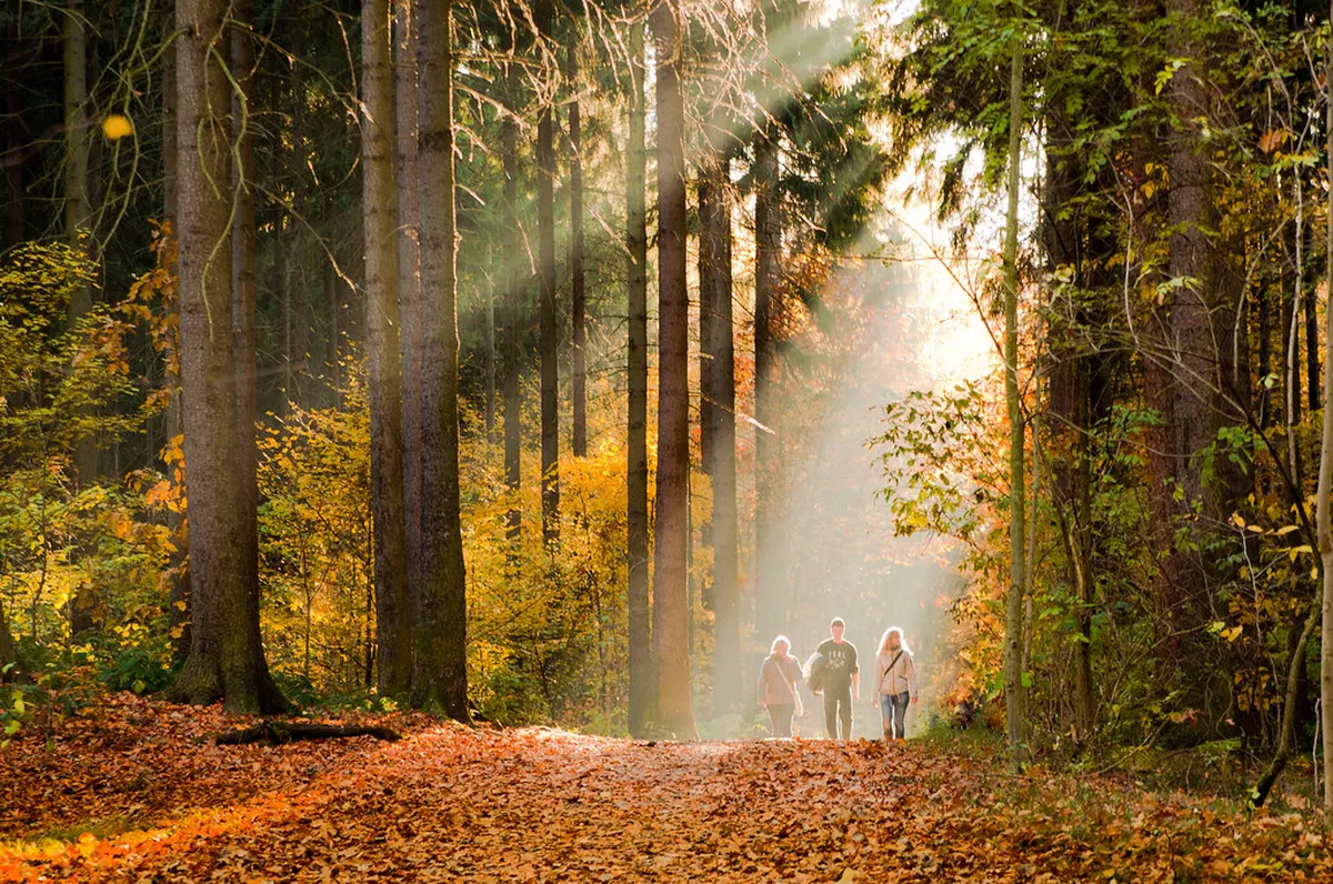 10 Easy Walks in Olomouc for Kids: Best Family Routes