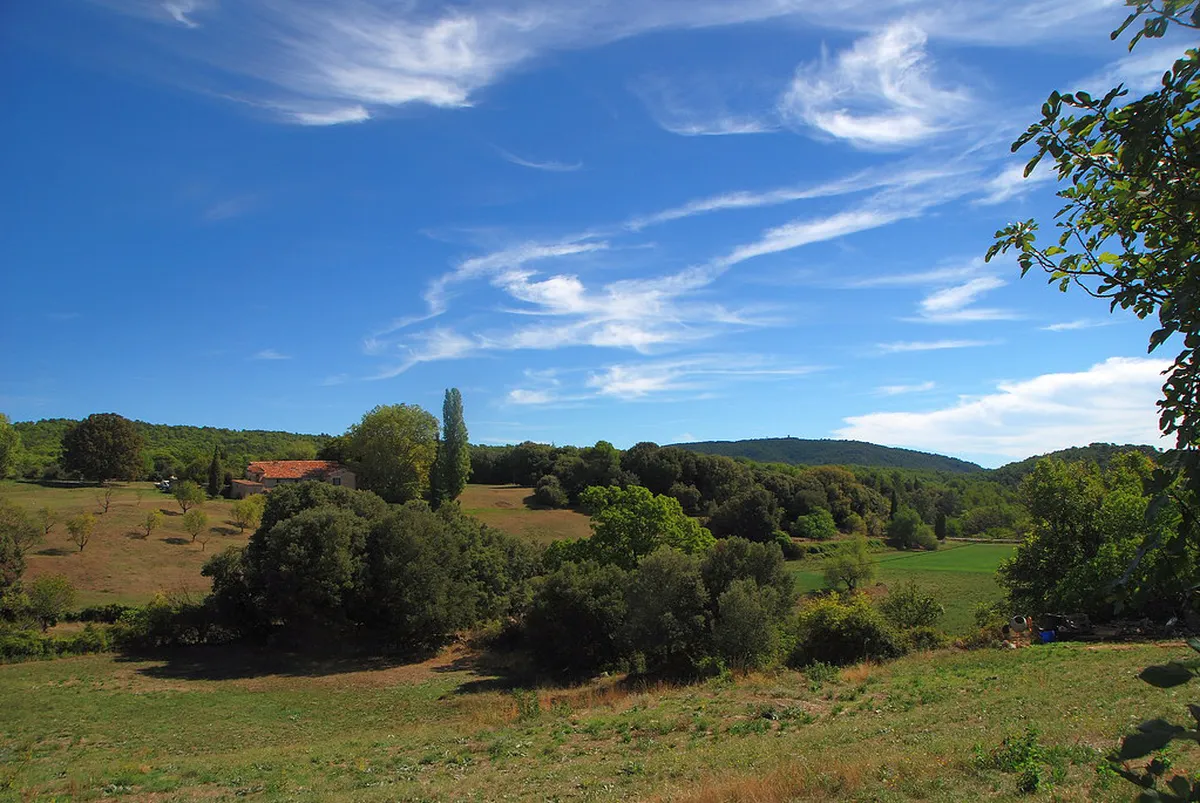 10 Historic Cafes to Visit in Olomouc Center (2026)