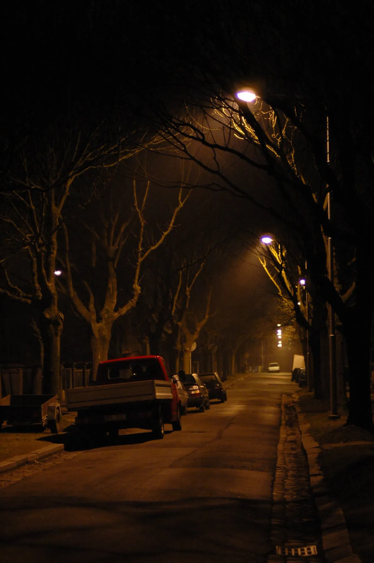 10 Best Evening Walks in Plzeň for a Magical Night