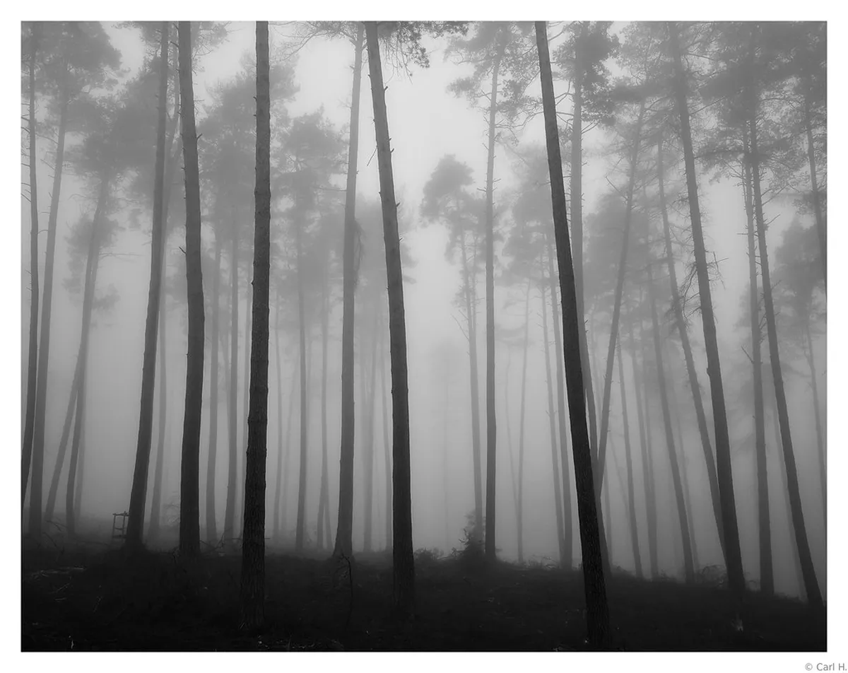 Best Time for Walking Plzeň Old Town: Seasonal Guide