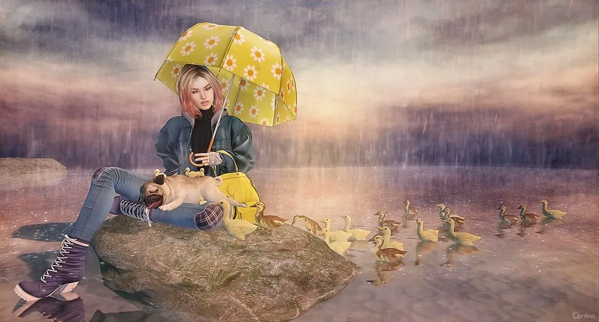 How to Get to Sigmond Trail from Center (Plzeň Guide)