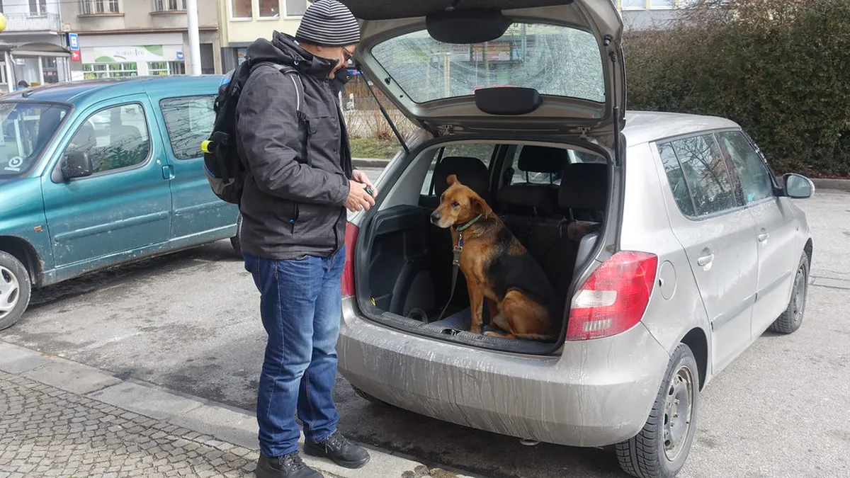 10 Best Stops for a Plzeň City Center Night Walk